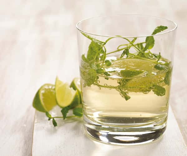 Mojito