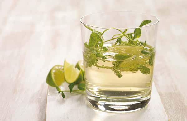 Mojito